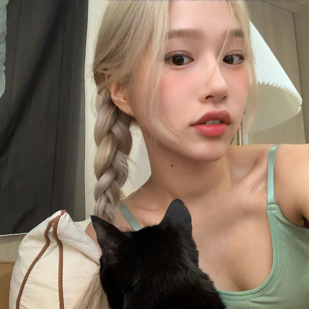 洛迪