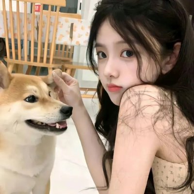 与狼共舞2
